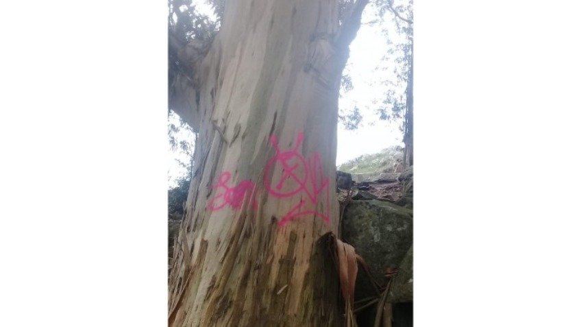 Vandalismo en la sierras